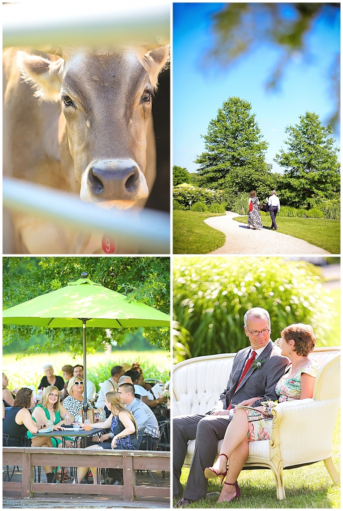 Cocktail hour Farm Wedding