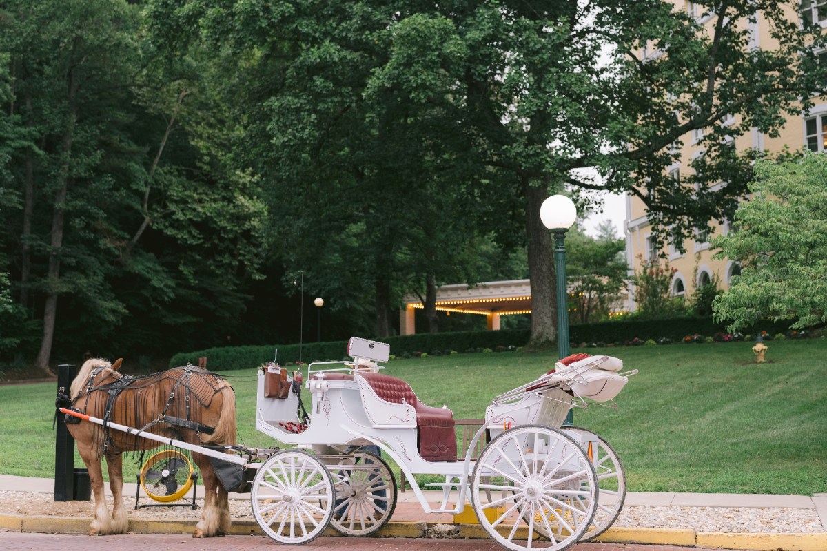 horse and carriage at wedding West Baden Springs Resort