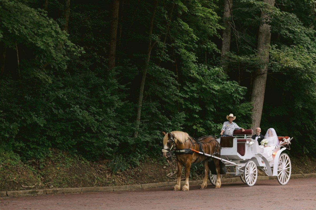 horse and carriage at wedding West Baden Springs Resort